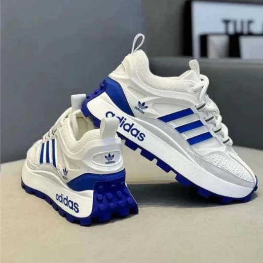 sneakers modèle trainer 2.0